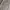 Lafudge Streetwear Casual shirt Pria gray photo 1