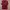 Nike Vintage Sportswear Jersey Pria burgundy photo 1