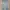 Blue Moon Blue Casual Ripped jeans Wanita gray photo 3