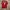 Nike Vintage Sportswear Jersey Pria red photo 2