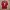 Nike Vintage Sportswear Jersey Pria Red