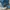 GAP Y2K Casual Hat Pria blue photo 3