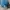 GAP Y2K Casual Hat Pria blue photo 2