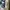 GAP Y2K Casual Hat Pria blue photo 5