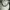 Adidas Sportswear Casual Hat Pria white photo 3