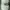 Adidas Sportswear Casual Hat Pria white photo 1