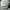 Vintage Casual Hat Pria white photo 2