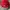 Vintage Y2K Hat Pria red photo 2