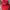 Vintage Y2K Hat Pria red photo 1