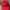 Vintage Y2K Hat Pria Red