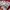 Adidas Sportswear Jersey Pria white red photo 4