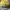 Sportswear Casual Hat Pria black yellow photo 2