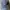 Nike Vintage Sportswear Hat Pria navy photo 1