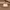 Louis Vuitton Luxury Shoulder bag Wanita multicolor photo 3