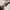 Louis Vuitton Luxury Shoulder bag Wanita multicolor photo 4