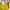Hush Puppies Futurist Casual Shoulder Bag Wanita Yellow