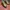 Nike Air Jordan Streetwear Sportswear Sneakers Pria gold photo 2