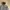 Avant Garde Parka Pria white photo 4