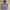 Avant Garde Parka Pria white photo 1