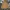 Carhartt Streetwear Hoody Pria brown photo 1