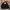Polène Luxury Casual Bags & Purse Wanita Black