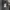 Carhartt Streetwear Hoody Pria gray photo 4