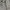 Olivia Lauren Coquette Casual Blazer Wanita white black photo 3