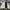Carhartt Streetwear Hoody Pria cream photo 4