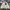 Carhartt Streetwear Hoody Pria cream photo 1