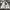 Carhartt Streetwear Hoody Pria white photo 1