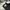 Carhartt Streetwear Hoody Pria white photo 5