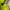 Nike Vintage Sportswear Jersey Pria green photo 3