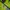 Nike Vintage Sportswear Jersey Pria green photo 5
