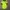 Nike Vintage Sportswear Jersey Pria green photo 1