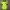 Nike Vintage Sportswear Jersey Pria Green