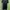 Goth Midi dress Wanita black photo 3