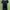 Goth Midi dress Wanita black photo 4