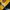 Nike Vintage Sportswear Jersey Pria yellow photo 8