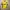 Nike Vintage Sportswear Jersey Pria yellow photo 1