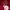 Adidas Vintage Sportswear Jersey Pria red photo 4