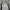 Champion Sportswear Casual Track jacket Pria silver photo 4