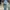 Uniqlo Streetwear Y2K Formal shirt Pria blue photo 2
