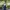 Emba Vintage Skater Formal shirt Pria green photo 2