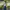 Emba Vintage Skater Formal Shirt Pria Green