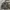 C.P. Company Streetwear Casual Bomber jacket Pria gray photo 1