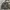 C.P. Company Streetwear Casual Bomber Jacket Pria Gray