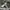 C.P. Company Streetwear Casual Bomber jacket Pria gray photo 6