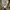 Grooverhyme Casual Puffer jacket Pria tan photo 8