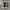 Converse Casual Sneakers Pria white black photo 4