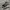 Converse Casual Sneakers Pria white black photo 1